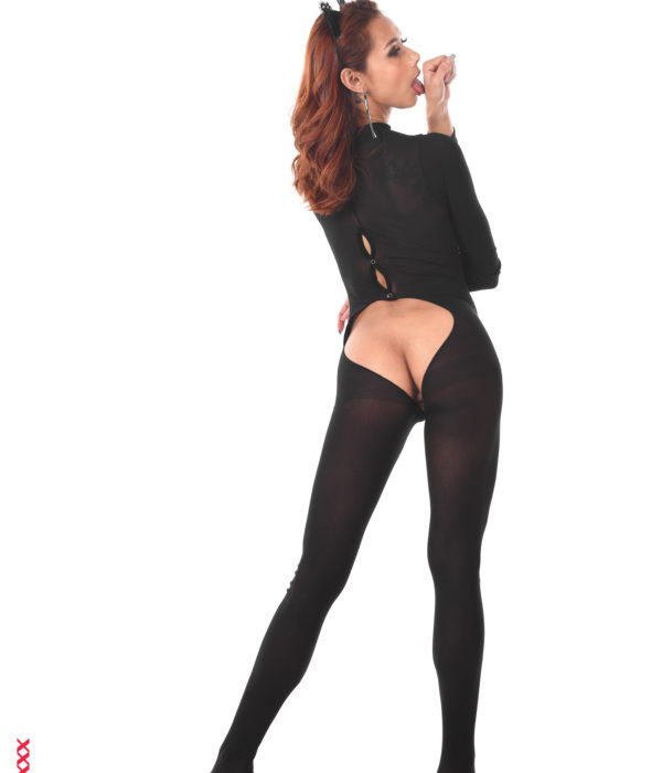 Veronica Leal Hottest Catwoman virtuagirl desktop strippers